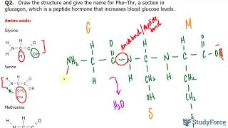 Drawing and Naming a Peptide [upl. by Reklaw]