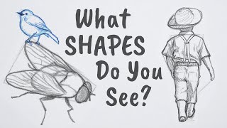 How to Draw ANYTHING Using Simple Shapes [upl. by Steve]