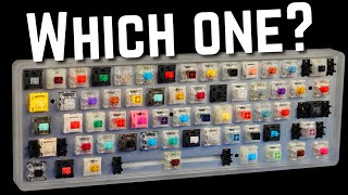 How to Choose the Perfect Switch For YOU [upl. by Chil]