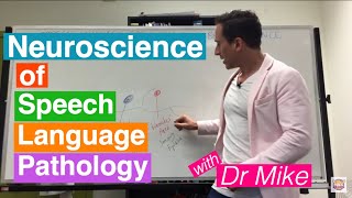 Neuroscience of Speech Language Pathology SLP [upl. by Gilcrest202]