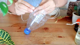 Reuse Plastic Bottles for Growing Plant in 3 Easy Ways  DIY [upl. by Tadashi]