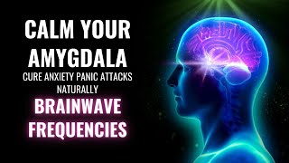 Calm Your Amygdala  Cure Anxiety Panic Attacks Naturally  Brainwave Frequencies  Amygdala Music [upl. by Odnuges]