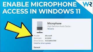 How to Enable Microphone Access in Windows 11 [upl. by Janela]