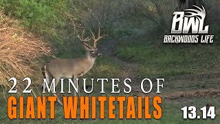 ULTIMATE Deer Hunting Compilation [upl. by Capp726]