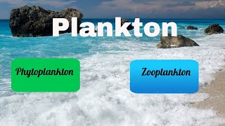 Difference between Zooplankton and Phytoplankton [upl. by Converse269]