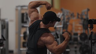 IFBB Pro Arm Workout [upl. by Aztiraj]