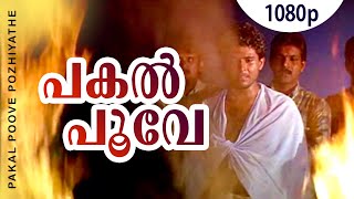 Pakal Poove Pozhiyathe  1080p  Chronic Bachelor  Lalu Alex  Sabitha Anand Mohan Ayiroor  Biyon [upl. by Eirrem905]