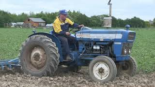 FORD 3000 AND OLIVER CULTIVATOR [upl. by Attelliw]