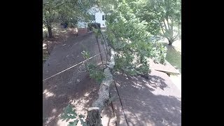 Remove a Tree Overhanging a House Without a Crane or Lift 2018  Part 1 [upl. by Florida930]