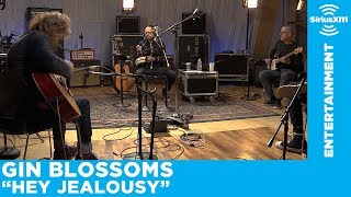 Gin Blossoms Perform quotHey Jealousyquot Live  SiriusXM [upl. by Ittam]