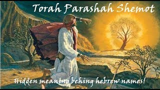 13  Torah Parashah Shemot [upl. by Sidnak392]