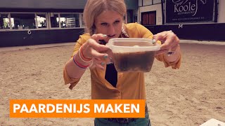 Hoe maak je paardenijs  PaardenpraatTV [upl. by Ontina202]