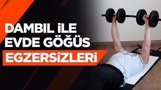 Evde Göğüs Egzersizleri  Dambıl [upl. by Hirza]