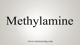 How To Say Methylamine [upl. by Eninej]