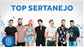 TOP SERTANEJO 2020  As Melhores do ano [upl. by Skilken]