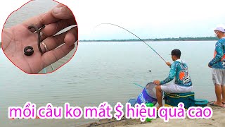 Câu Cá Tự Nhiên Bằng Mồi Giun Rất Nhạy Rật Mỏi Tay ae ạ [upl. by Atsyrc]