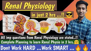 How to complete Renal Physiology in 2 hrs  Renal Physiology  in hindi  Ashish Agrawal [upl. by Imis727]