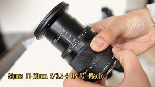 Sigma 1770mm f284 OS Macro C lens review with samples [upl. by Engvall]