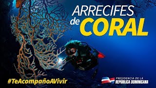 Arrecifes de Coral [upl. by Rogergcam]