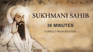 Sukhmani Sahib FAST 36 minutes Shudh Ucharan Taksali Singh [upl. by Ajet]