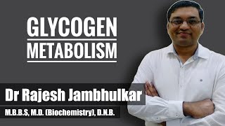 10 Glycogen metabolism Glycogenesis and Glycogenolysis [upl. by Anika]