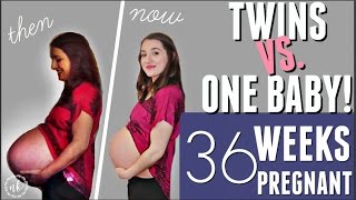 TWINS VS ONE BABY Comparing my Pregnancies  WEEK 36 UPDATE [upl. by Sixel]