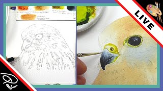 Watercolour Bird Masterclass  Realistic Watercolor Painting Tutorial Part 1 [upl. by Anairdna970]