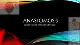 Blood Vessel Anastomosis Explained l Anatomy amp Physiology [upl. by Ardnait]