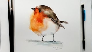 How to paint a Robin in watercolour [upl. by Ona53]