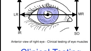 Clinical testing extraocular muscles tutorial [upl. by Eetnahs]