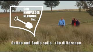 Saline and sodic soils  the difference [upl. by Ahkos]