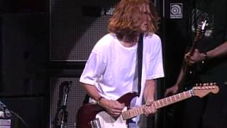 Gin Blossoms  Hey Jealousy Live at Farm Aid 1994 [upl. by Eardnaed144]