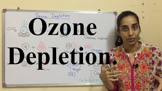 Ozone Depletion  Chemical Reactions of Ozone Depletion  Science Land [upl. by Roscoe413]