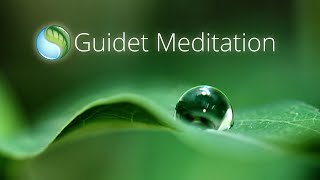 Mindfulness Guided Meditation Dansk [upl. by Natan]