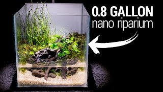 Making a 08 Gallon NANO RIPARIUM [upl. by Gates459]