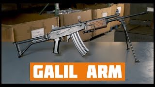 The Israeli Galil ARM History and Features [upl. by Fabiano]