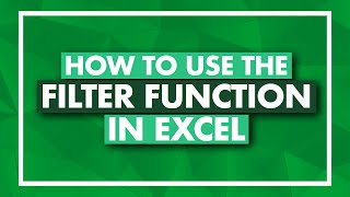 How to Use the FILTER Function in Excel  Excel FILTER Tutorial [upl. by Acinelav920]