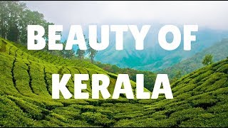 KERALA  The Beauty of Nature [upl. by Lashonde]