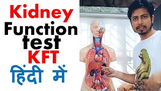 Kidney function test in hindi  Normal range and procedure explained [upl. by Crabb]