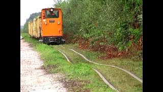 Feldbahn Light railway  Romping train  quotlocorodeoquot [upl. by Joselyn487]