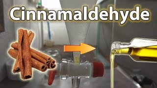 Cinnalmaldehyde Extraction  Cinnamon Oil from Bark with Steam Distillation [upl. by Charley]