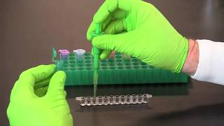 How To Perform A Qualitative ELISA [upl. by Bork]