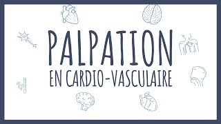 Sémiologie Cardiaque  Palpation [upl. by Anirehtak]