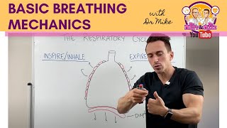 Basic Breathing Mechanics [upl. by Wernher]