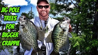 JIG POLE TREES FOR BIGGER CRAPPIE How To Do It [upl. by Sophey]