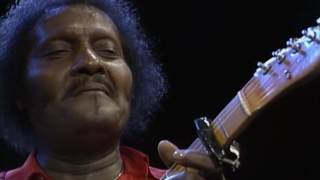 Albert Collins  quotThe Things That I Used To Doquot Live from Austin TX [upl. by Cleopatre]