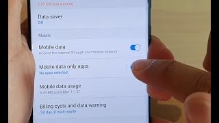 How to Enable  Disable Mobile Data Only Apps on Galaxy S20  Ultra  Plus [upl. by Scopp910]