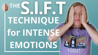 The SIFT Technique for Emotion Processing Dr Daniel Siegel and The WholeBrain Child [upl. by Josy]