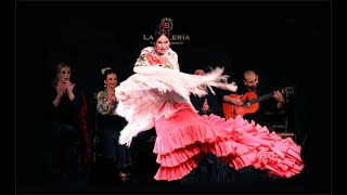 La Bulería Tablao Flamenco [upl. by Yraeht834]