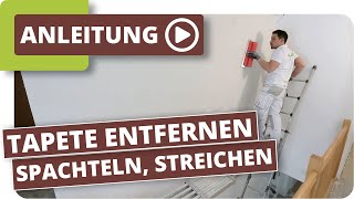 Vliestapete entfernen Wand glatt spachteln amp streichen [upl. by Nylleoj864]